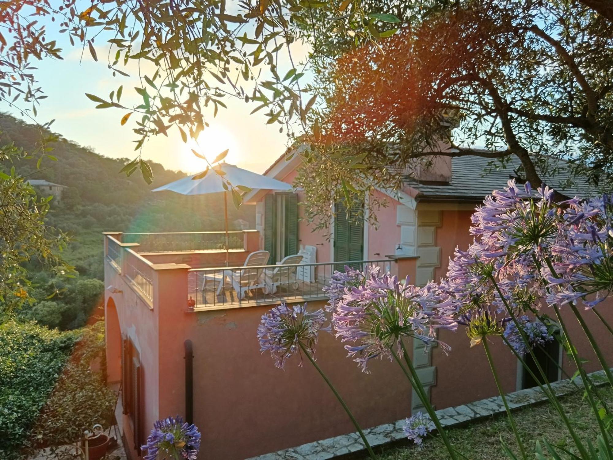 Villa Albachiara Camogli Exterior foto