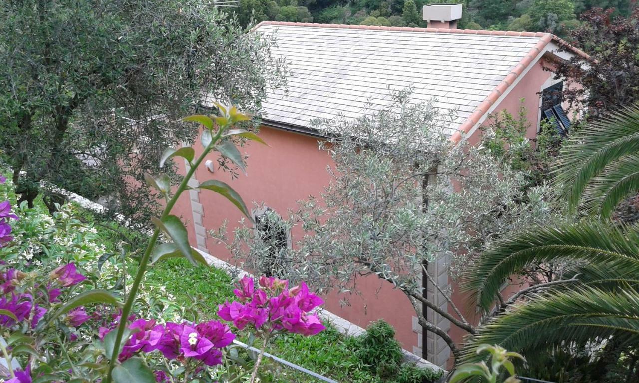 Villa Albachiara Camogli Exterior foto